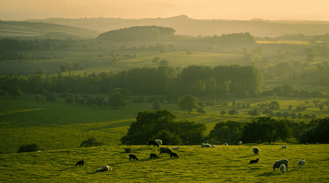 Land Agents need to take the lead