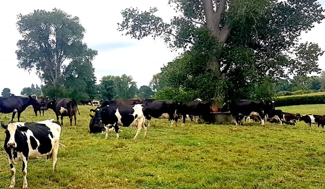 Update from the farm gate: a NZ farmer’s perspective