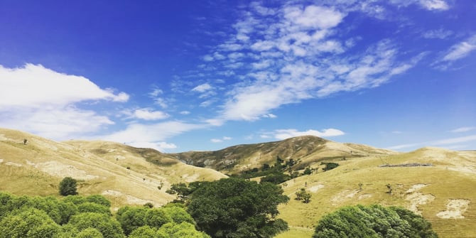 Why has a bank invested in an agri tech company? An update from BNZ