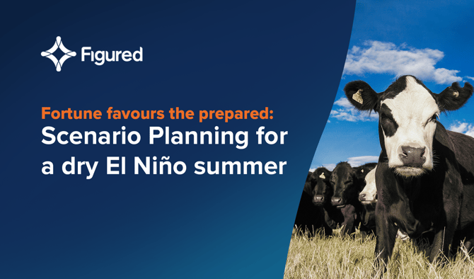Fortune favours the prepared: Planning for an El Niño Summer using the Figured Platform