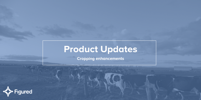 Product update: Cropping enhancements