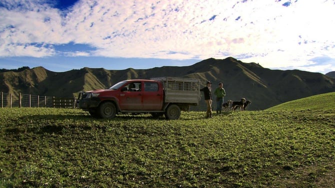 Farm accounting in the cloud - a perspective from a former rural banker