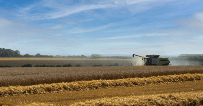 Unpacking UK Harvest Season 2022: Perspectives from a farmer and adviser