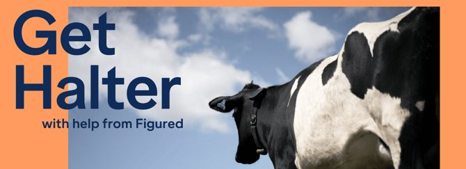 Halter and Figured Lending collaborate to offer farmers greater financial flexibility