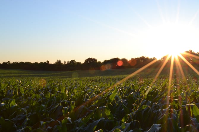 Using Xero and Figured to Help Transform a Kansas Family Farm